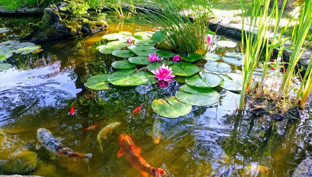 Gite Pause Au Jardin Saint-Branchs エクステリア 写真